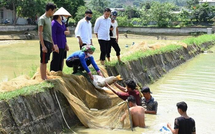 Lào Cai: Phong trào thi đua “Nông dân sản xuất, kinh doanh giỏi, đoàn kết giúp nhau làm giàu” góp phần thực hiện mục tiêu giảm nghèo đa chiều