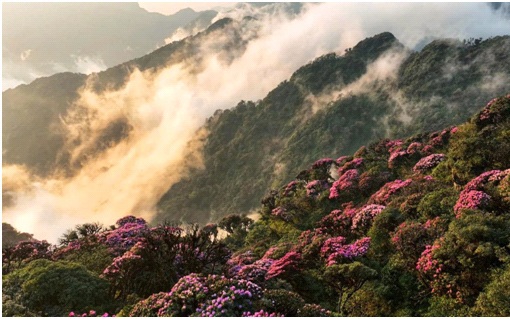 Lai Châu sẵn sàng cho Tuần Du lịch - Văn hóa và Giải Marathon 2025