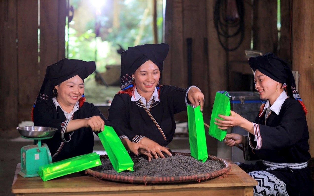 Phú Thọ: Đẩy mạnh phát triển kinh tế xanh gắn với bảo tồn và phát huy giá trị văn hóa dân tộc tại xã Đà Bắc