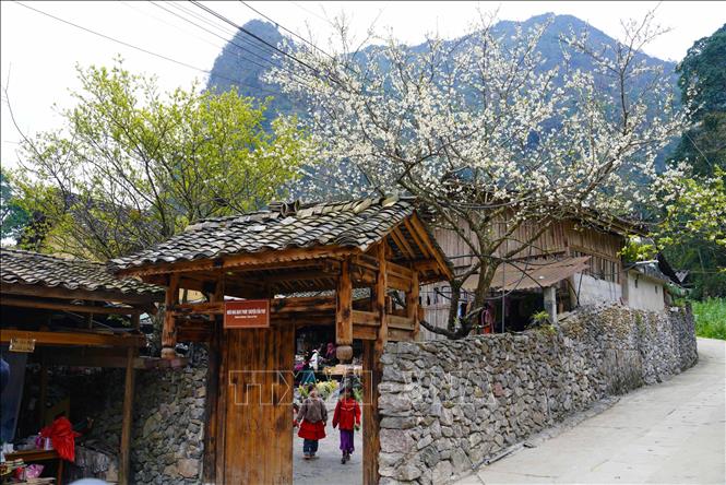 Du lịch Việt Nam năm 2025: Dấu mốc bứt phá, khẳng định vị thế mới - Ảnh 2.