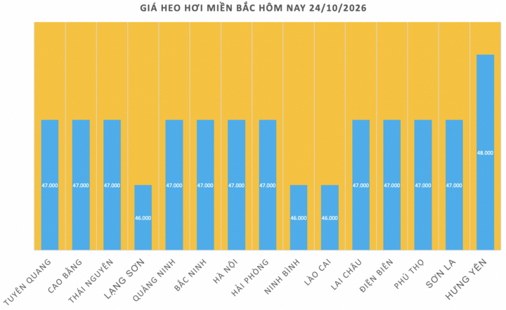 Giá heo hơi hôm nay 24/10/2026: Giảm mạnh, xuất hiện đáy mới - 1